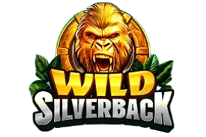 Wild Silverback